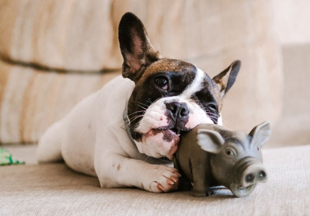 Photograph by Юлия