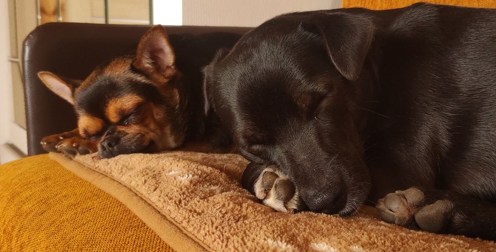 Photograph by Елена Попова