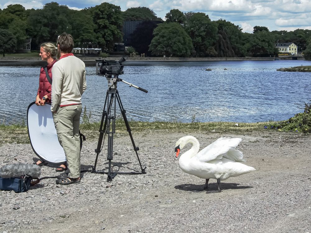 Photograph by Елена Гусева