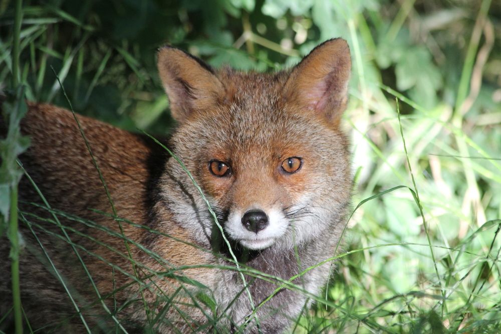 Photograph by Nadzeya