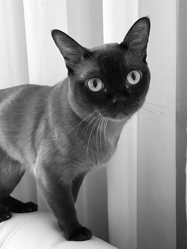 Photograph by Светлана Георкова