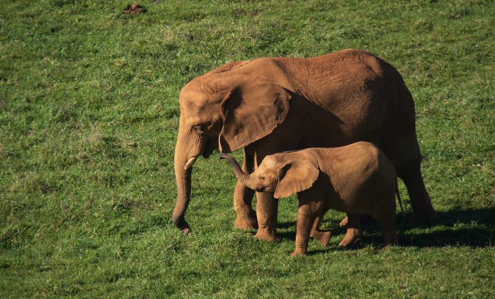 Фотография автора Алексей Головатый