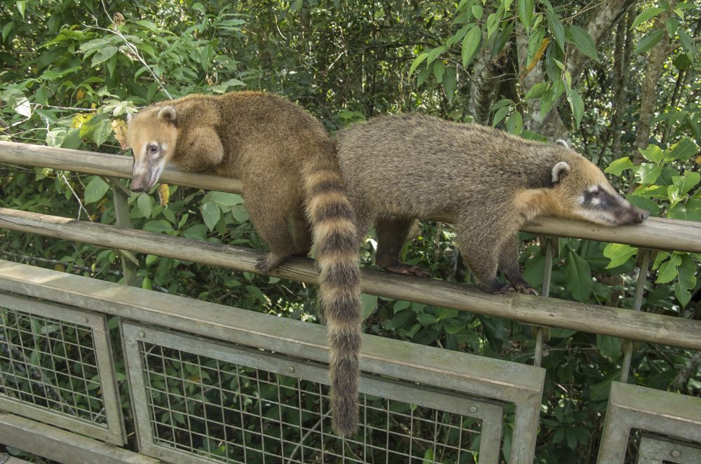 Photograph by Галина Михоношина