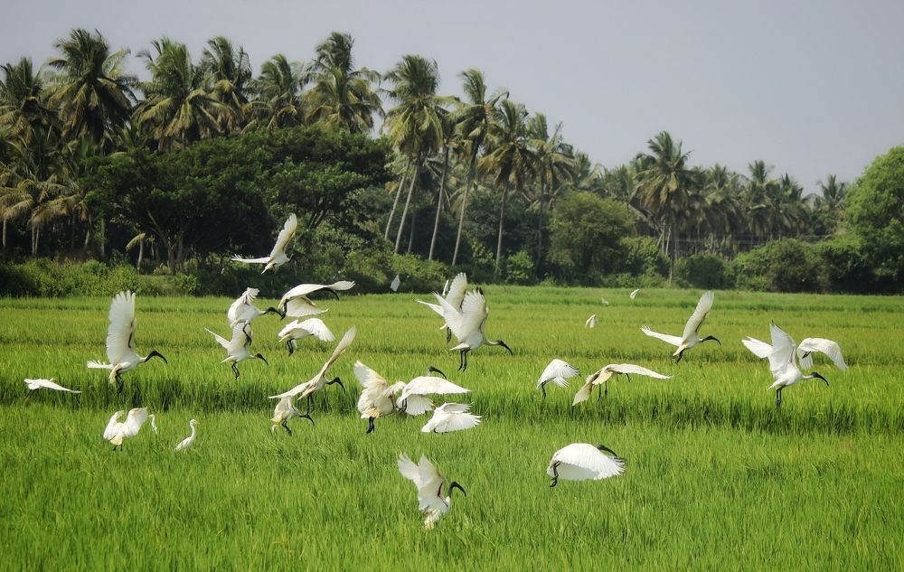 Photograph by anvita trivedi