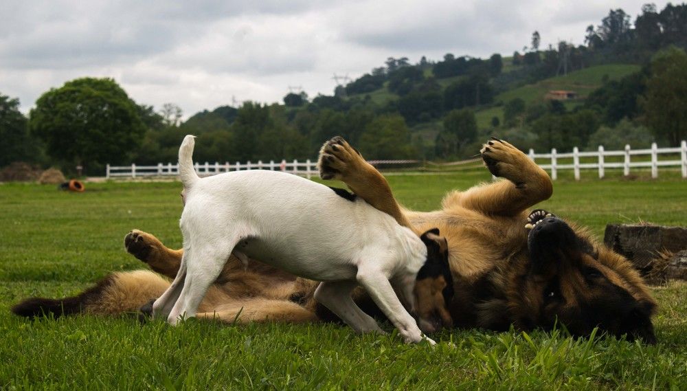 Фотография автора Алексей Головатый