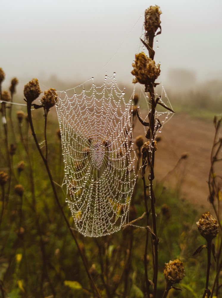 Photograph by Наталья