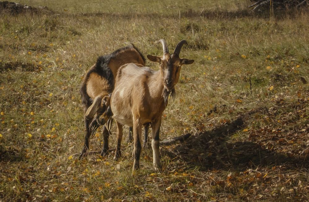 Photograph by Юлия Лушникова