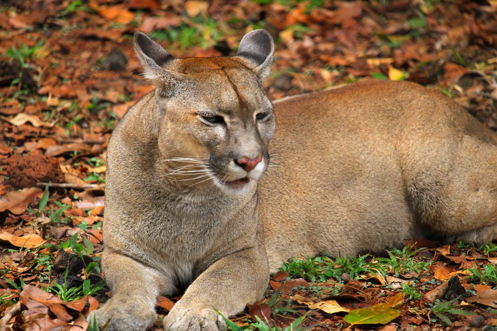 Photograph by Marcello França