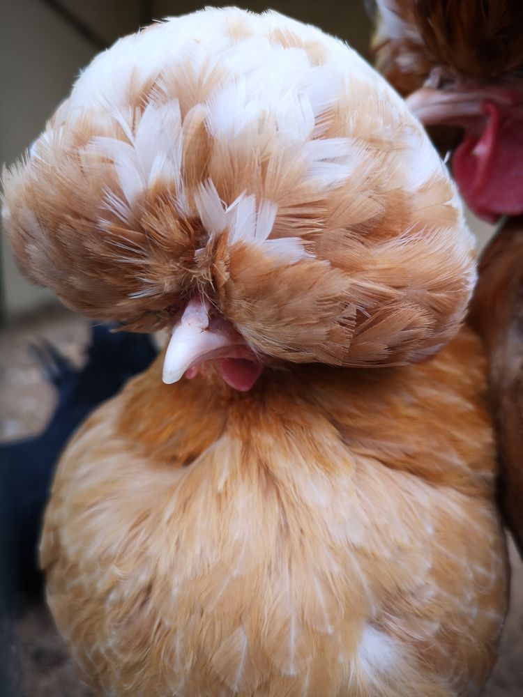 Photograph by Liubov Tarasova