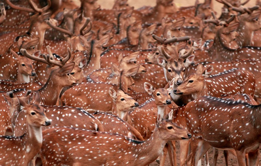 Photograph by Mojtaba Chenari