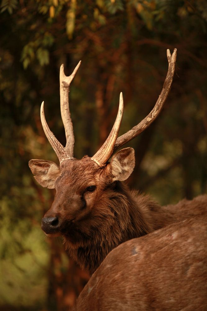 Фотография автора Mojtaba Chenari