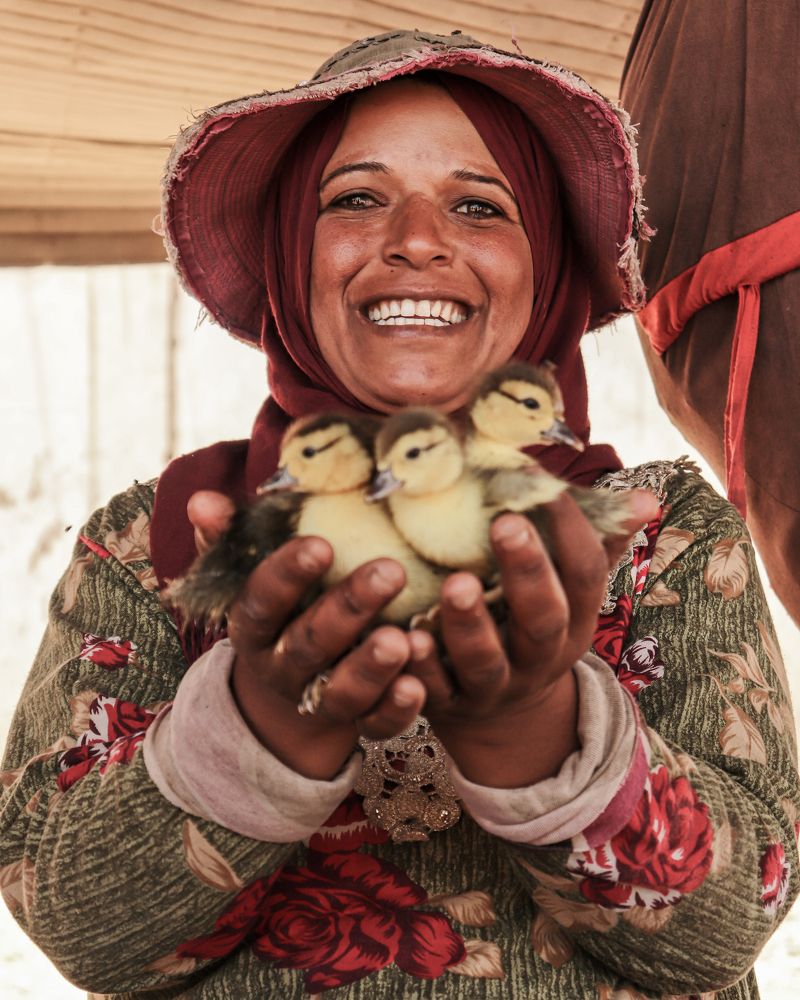 Фотография автора Mohamed Safwat