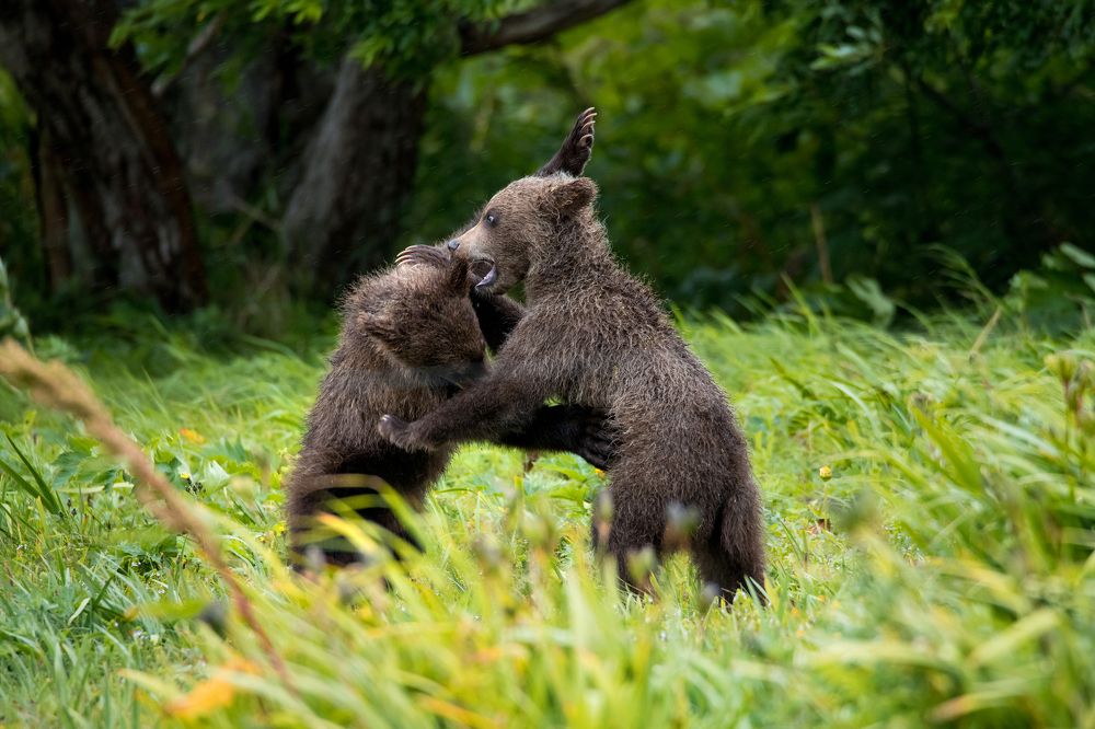 Photograph by Наталья Поспелова