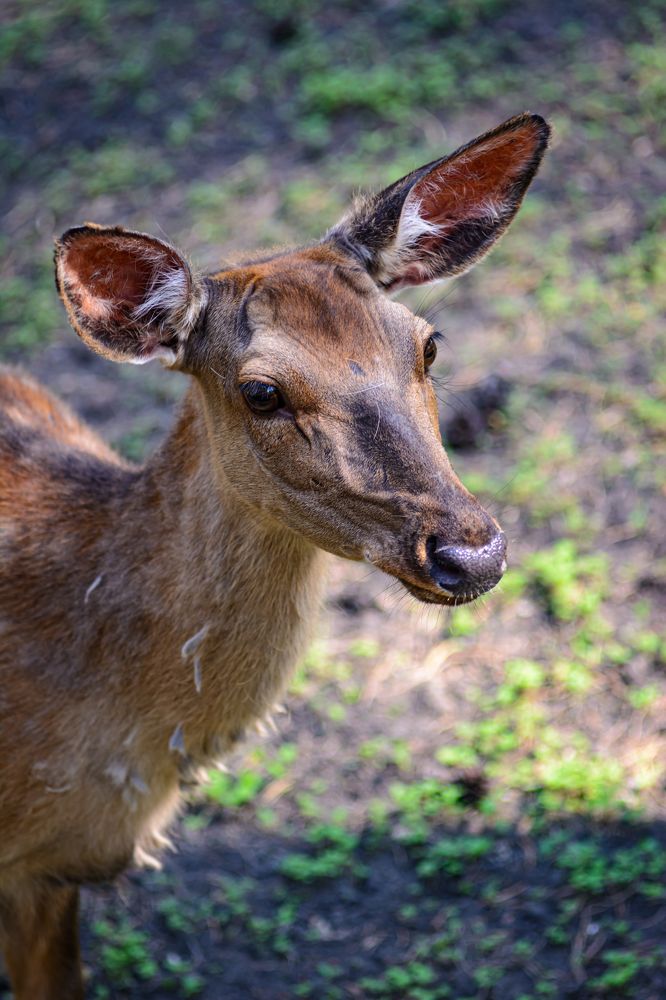 Photograph by Елена Берсенёва