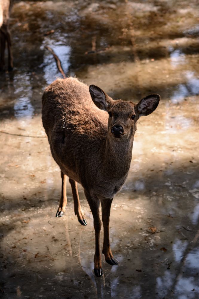Photograph by Елена Берсенёва