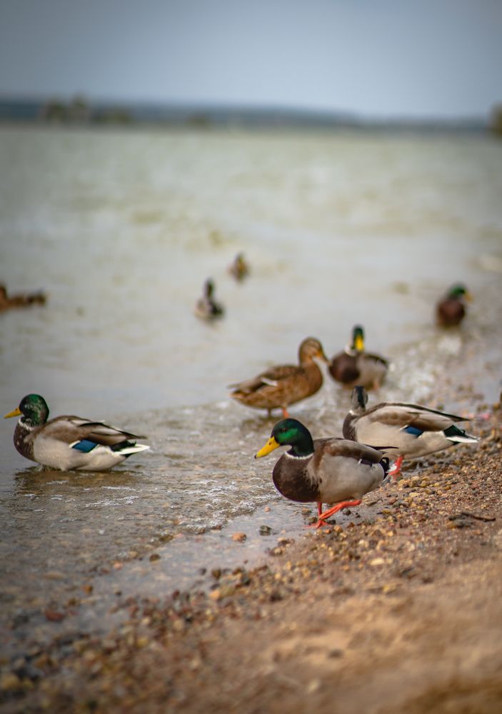 Фотография автора Вагуро Евгений