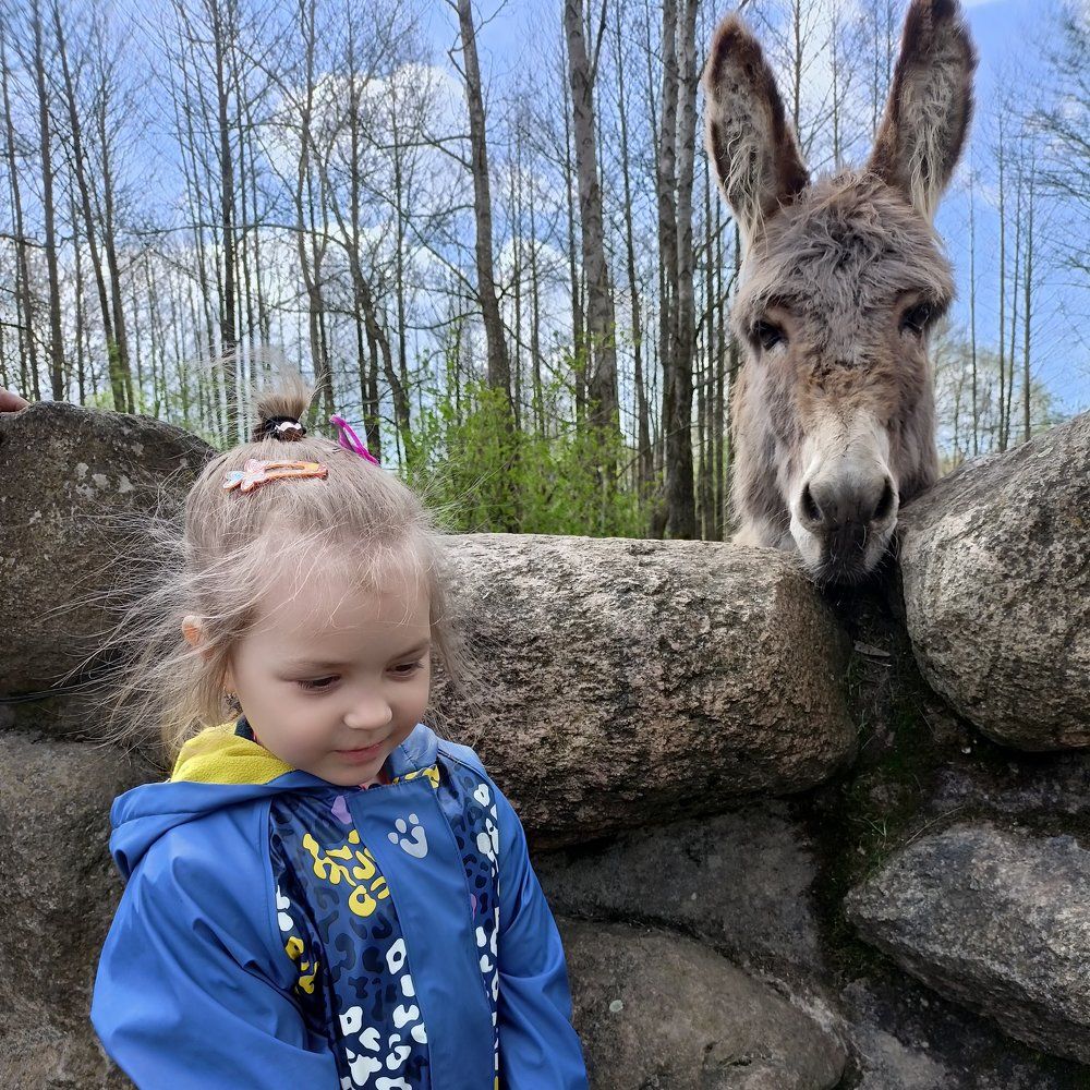 Фотография автора Марина Луценко