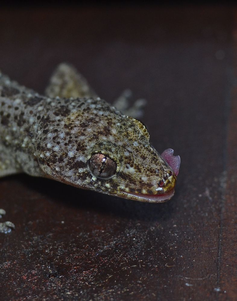 Photograph by Kasun Wickramasinghe