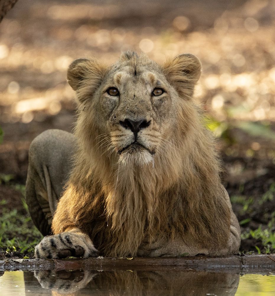 Photograph by Nirav Mehta