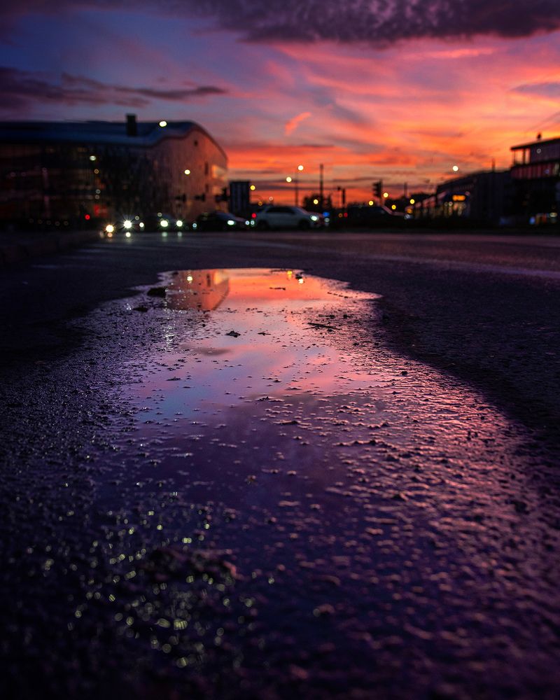 Photograph by Janusz Maniak