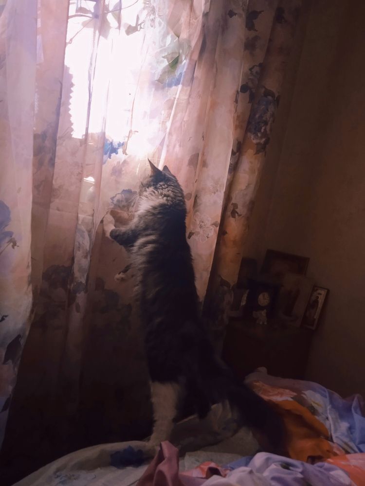 Photograph by Наталия Колемасова