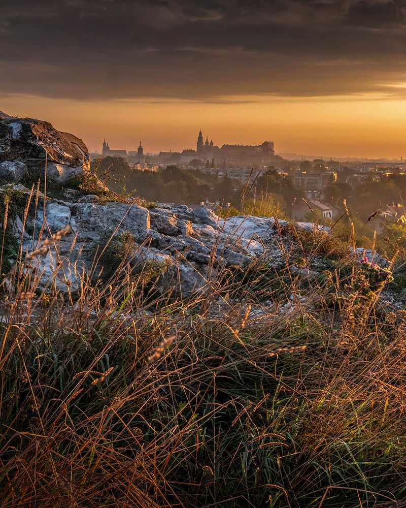 Photograph by Janusz Maniak