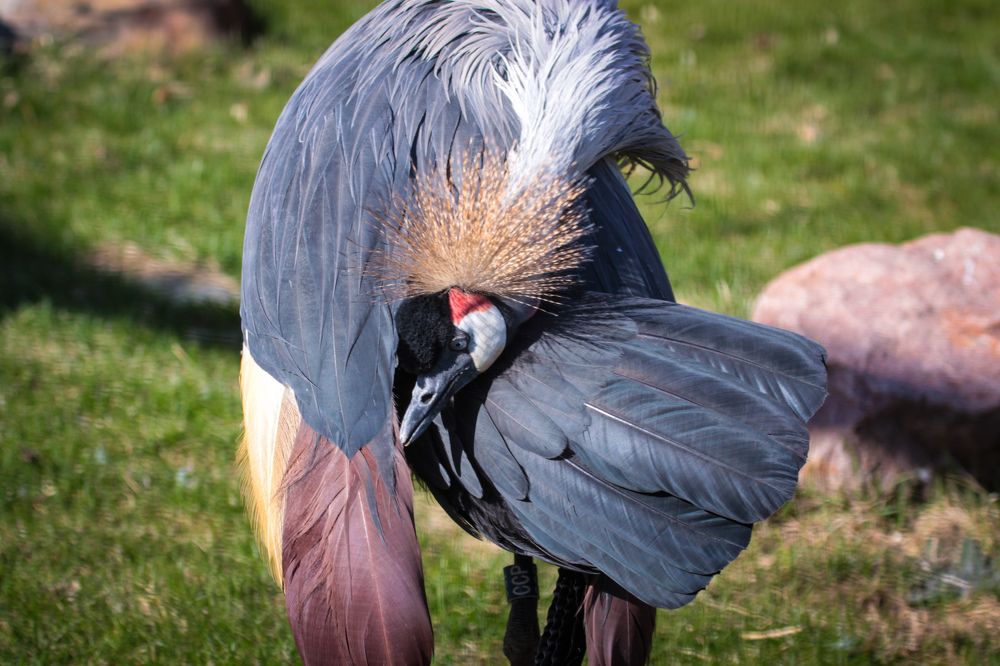 Фотография автора Elena Ku