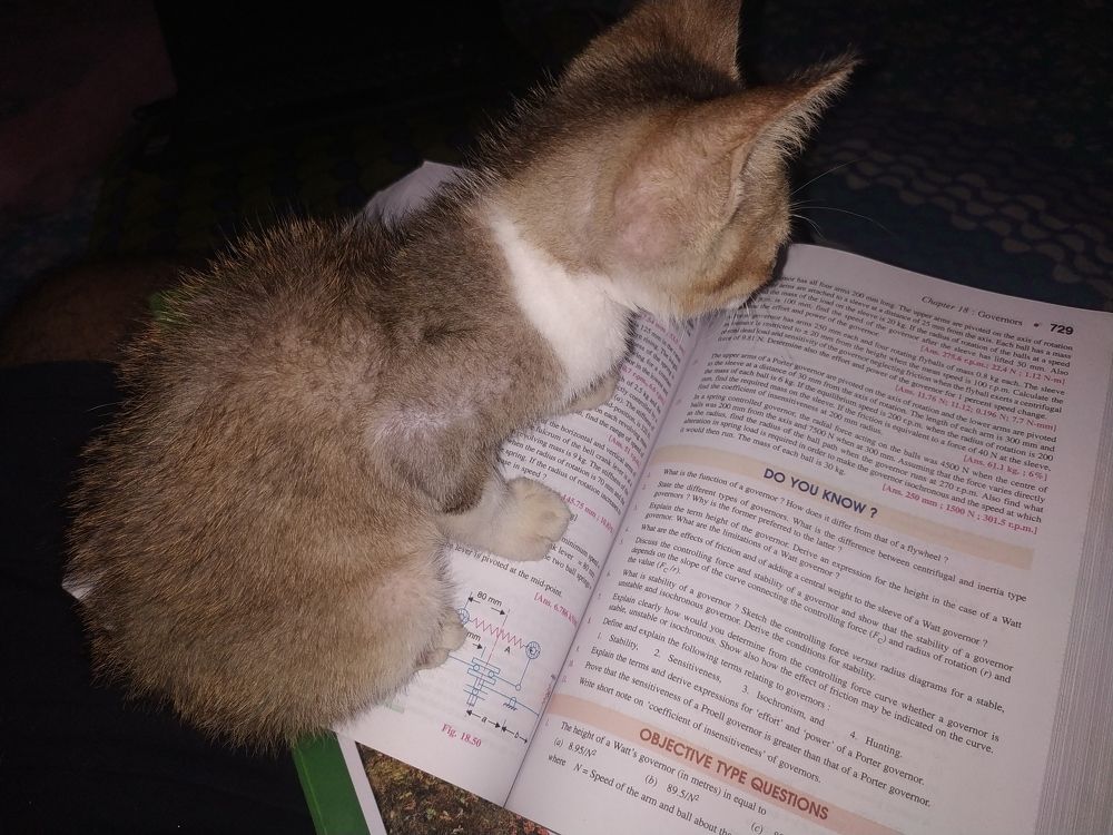 Photograph by Souvik De