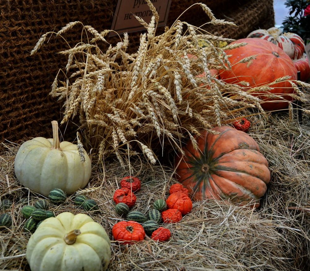 Photograph by Анастасия Смирнова