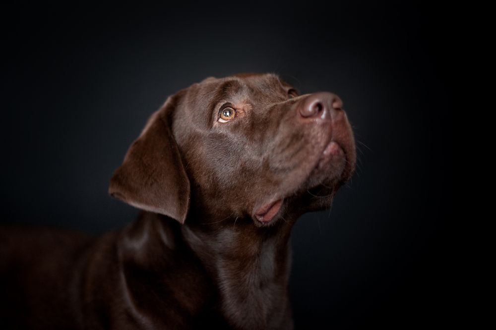 Photograph by Александра Гиль