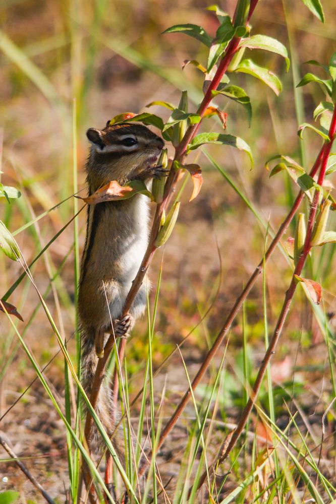 Photograph by Наталья Трифуз