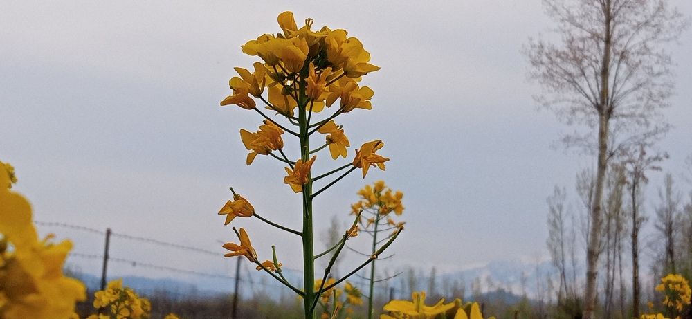 Photo #9829990