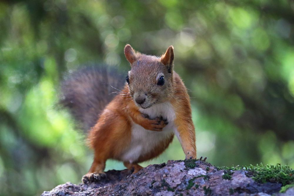 Photograph by Юлия Куликова