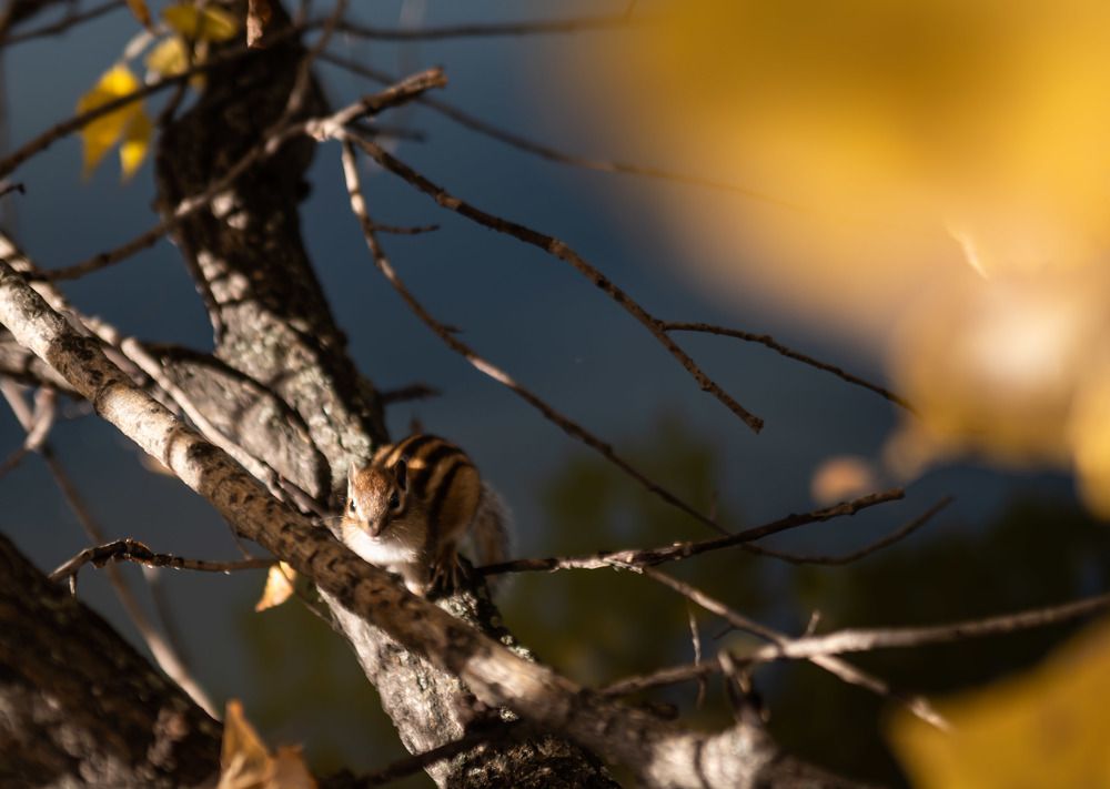 Photograph by Наталья Сорокина