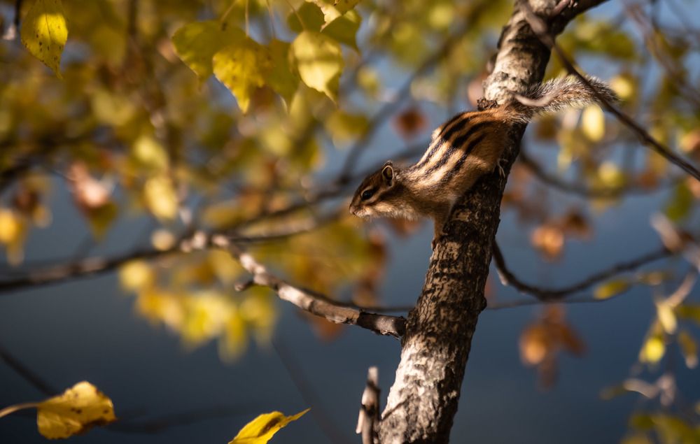 Photograph by Наталья Сорокина