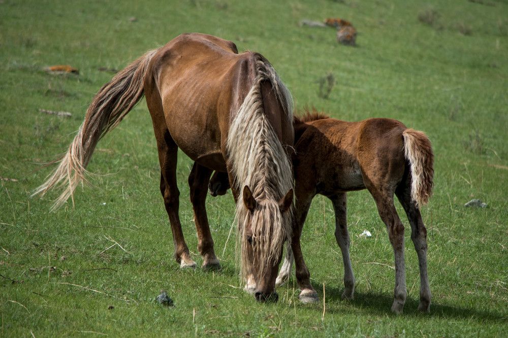Photograph by Наталья Сорокина