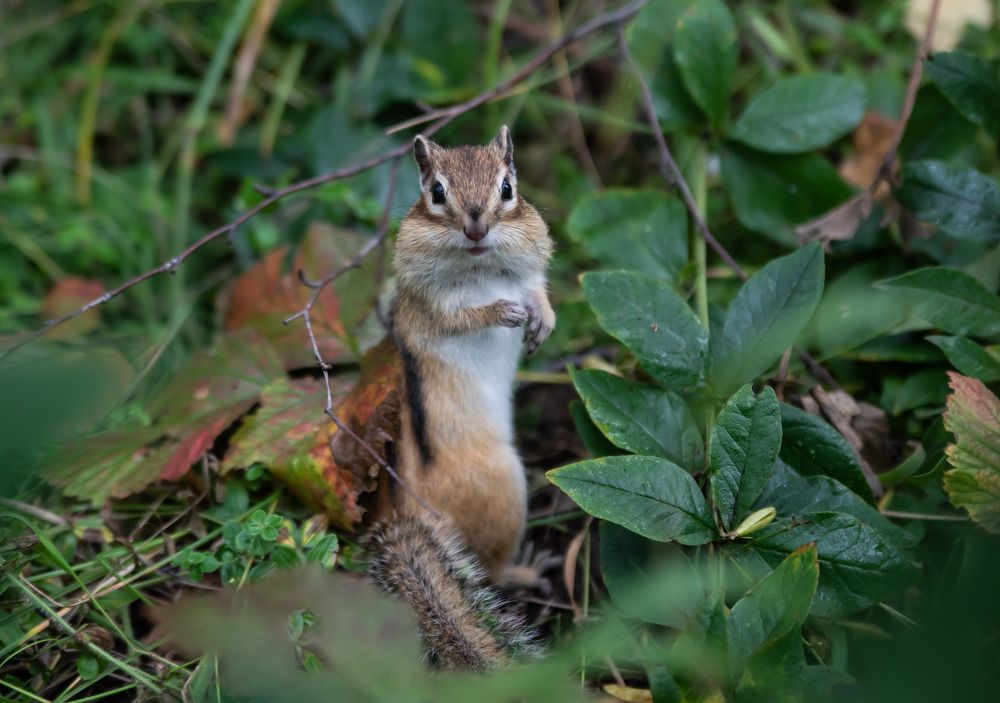 Photograph by Наталья Сорокина