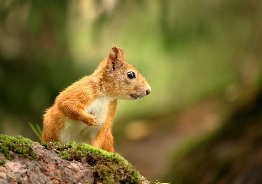 Photograph by Юлия Куликова
