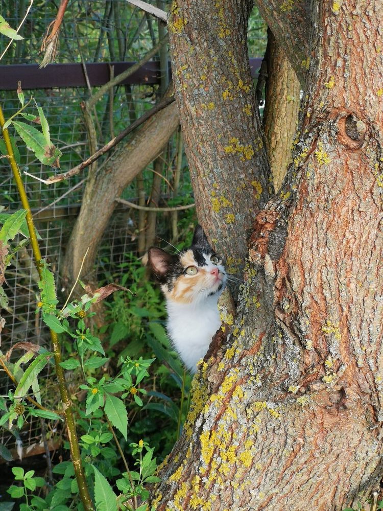 Photograph by Анна Кош