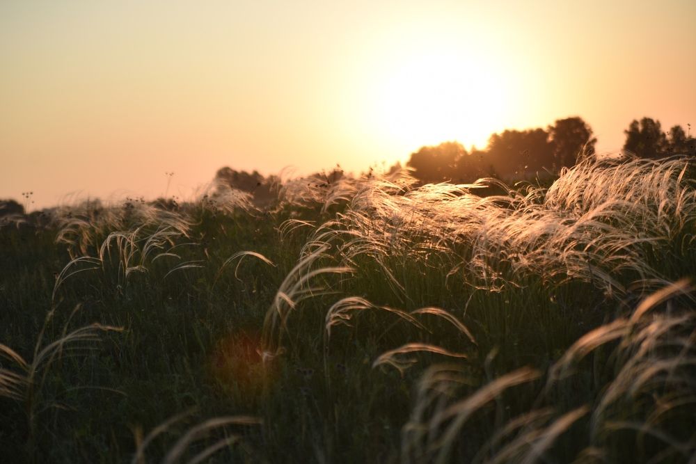 Photograph by Наталья Сорокина