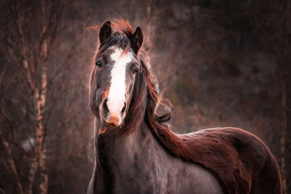 Photograph by Oline Fiva Aukrust