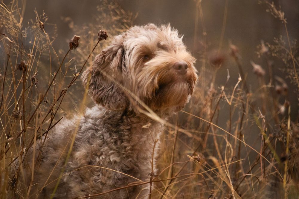 Photograph by Oline Fiva Aukrust