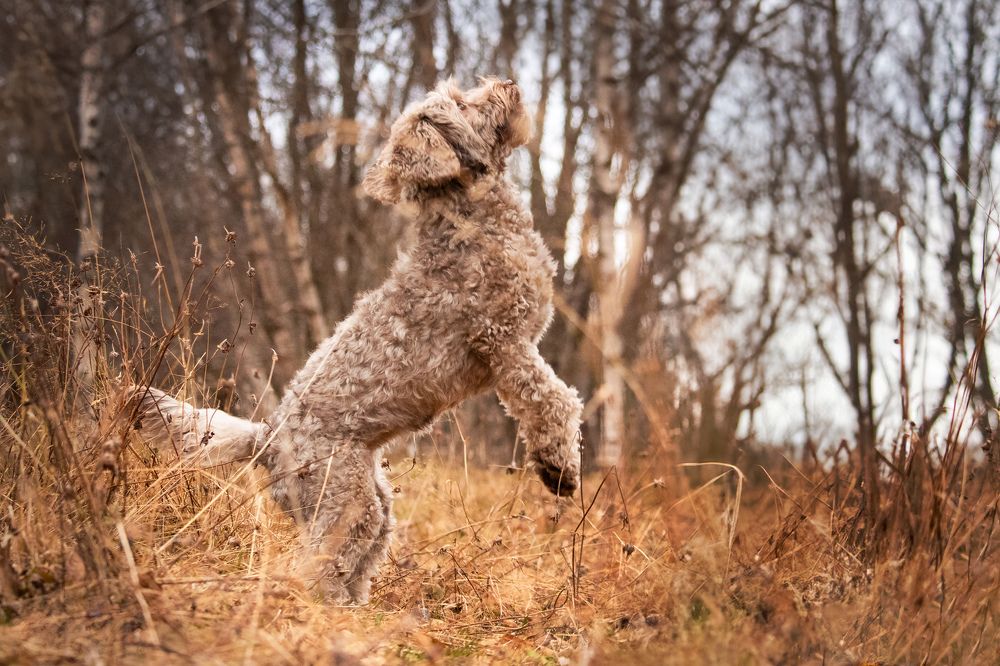 Photograph by Oline Fiva Aukrust