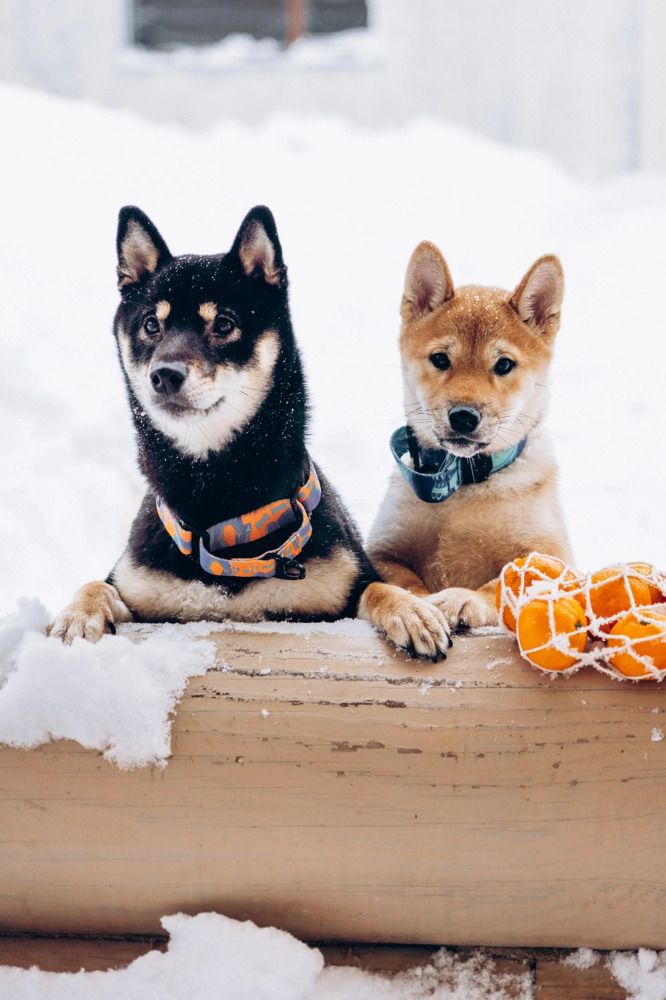 С наступающим!