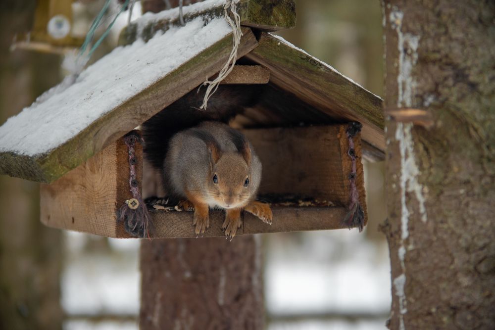 Photograph by Николай Грекалов