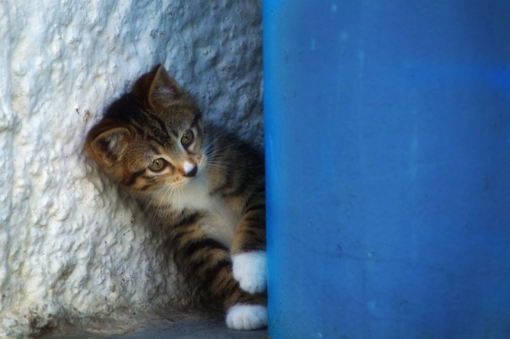 Photograph by Елена Ласун