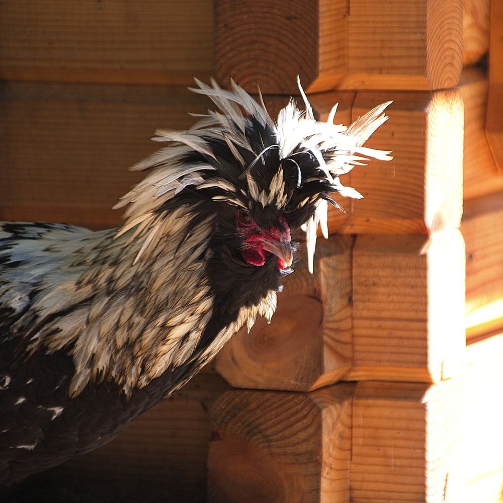 Photograph by Елена Ласун