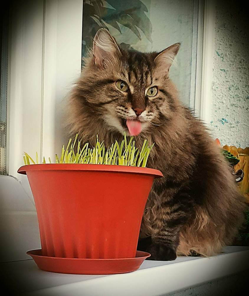 Photograph by Елена Ласун