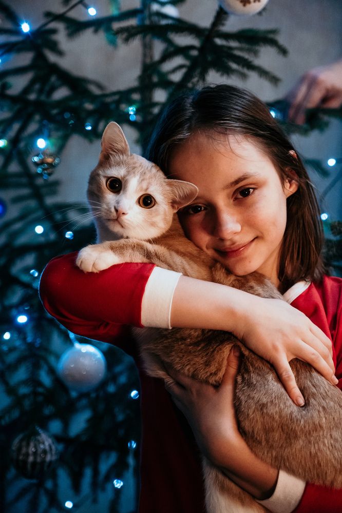 Ожидание праздника