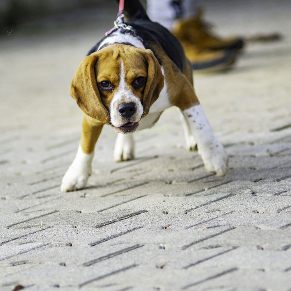 Photograph by Rudi Uran